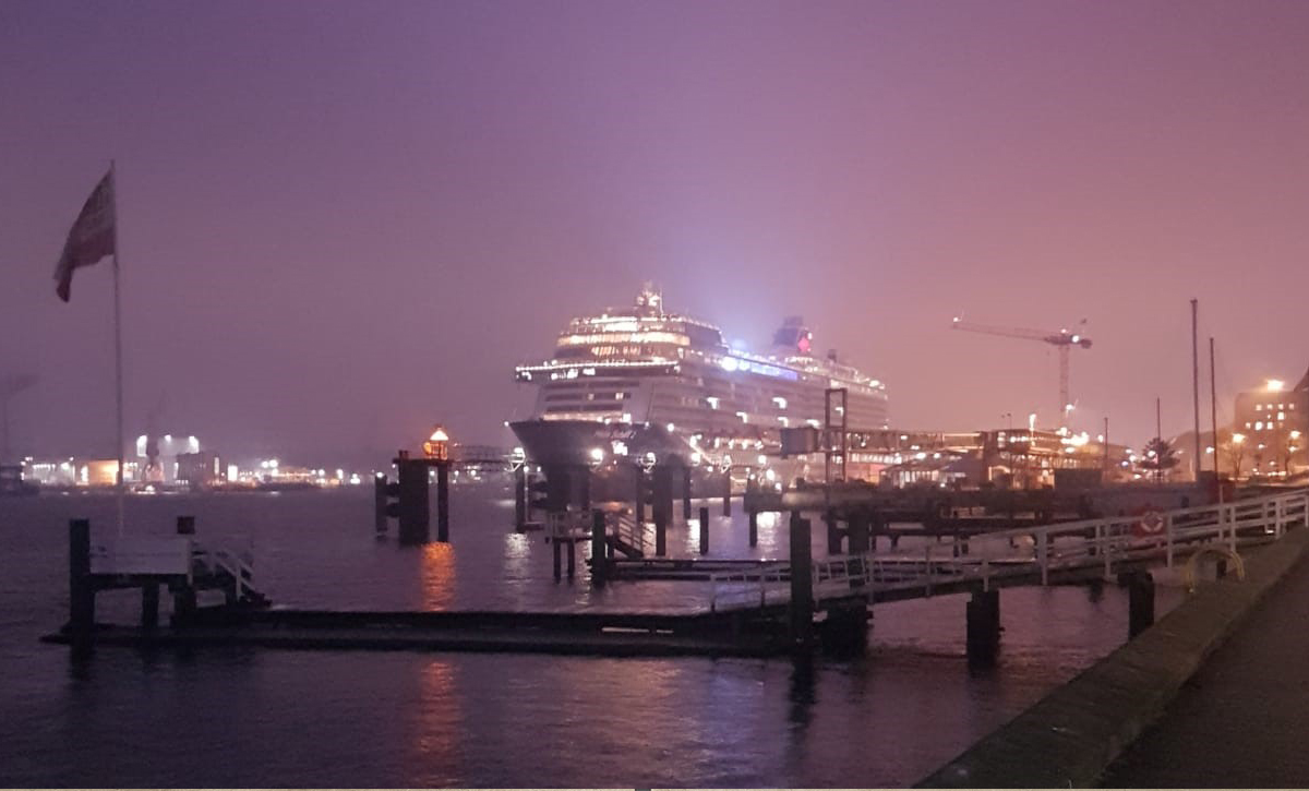 Uncategorized Tudor Rose